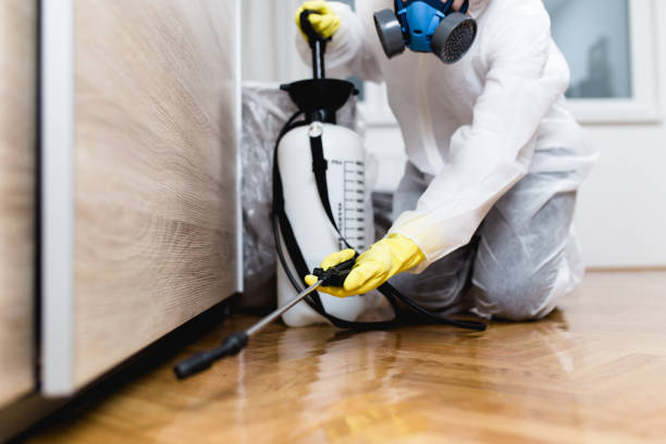 Best Affordable Pest Control Services  in Passaic, NJ