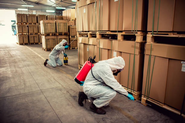 Best Local Pest Control Services  in Passaic, NJ