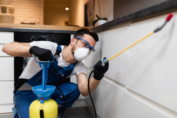 Best Rat Extermination Near Me  in Passaic, NJ