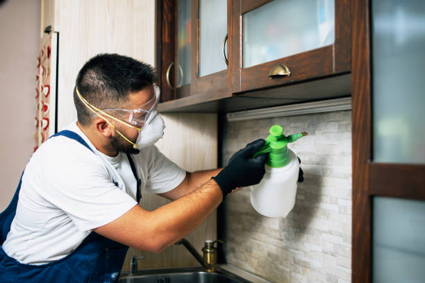 Best Termite Control Services  in Passaic, NJ