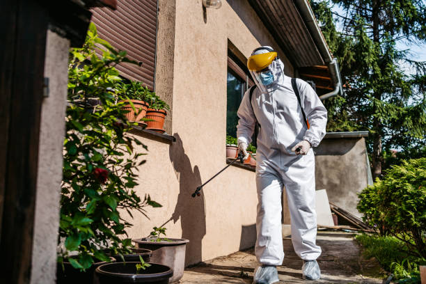 Best Pest Control Near Me in Passaic, NJ