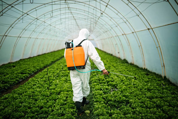 Best Affordable Pest Control Services  in Passaic, NJ