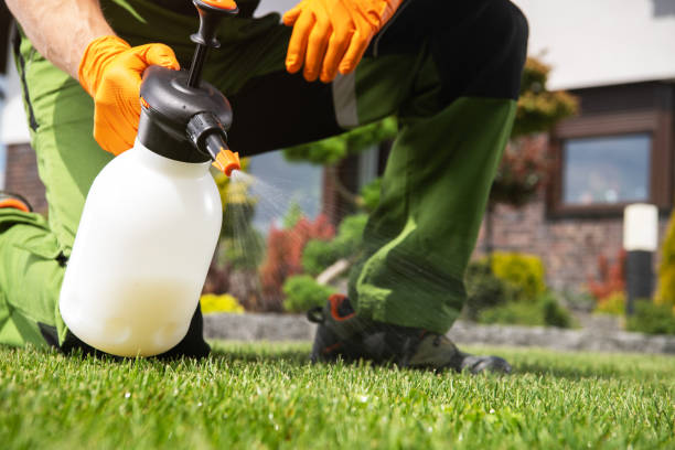 Best Ant Control Services  in Passaic, NJ