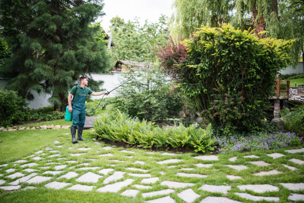 Best Best Pest Control Near Me  in Passaic, NJ