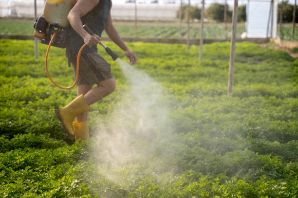 Best Pest Control Cost  in Passaic, NJ