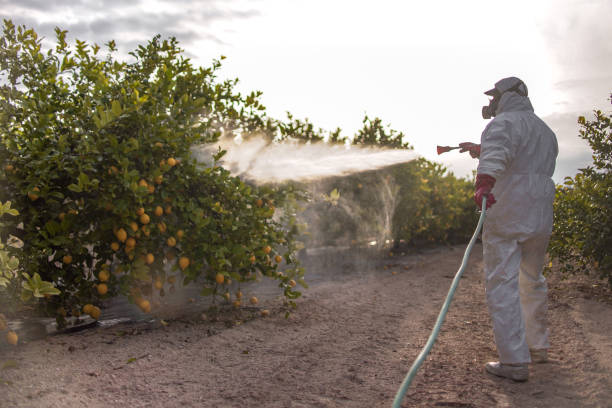 Best Exterminator Services  in Passaic, NJ
