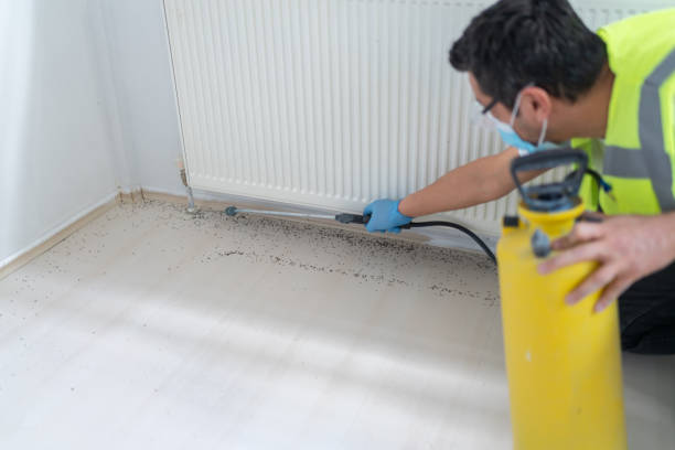 Best Rat Extermination Near Me  in Passaic, NJ