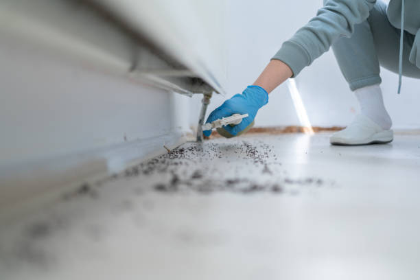 Pest Control Cost in Passaic, NJ